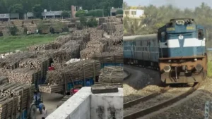 Yamunanagar News: यमुनानगर में कांवड़ यात्रा का असर, 30 जुलाई से 11 अगस्त तक बंद रहेंगी लकड़ी मंडियां, रेलवे चलाएगा हरिद्वार स्पेशल ट्रेन