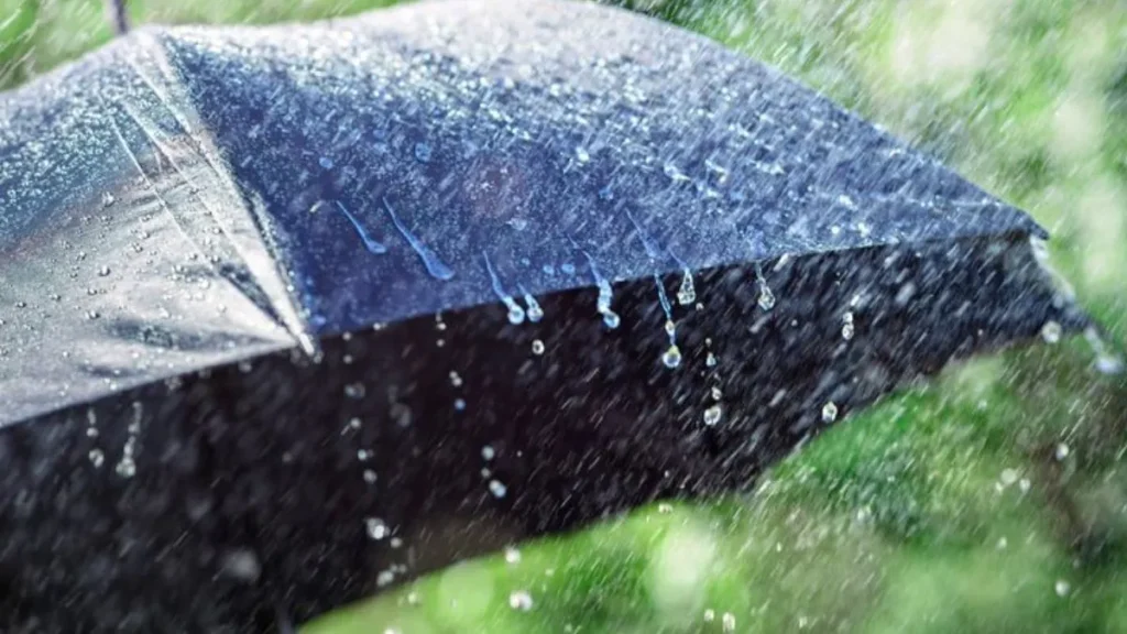 Haryana Weather: हरियाणा में 2 अगस्त से बदलेगा मौसम, HAU हिसार ने जारी किया भारी बारिश का अलर्ट
