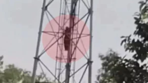 Ambala News: अंबाला में 'शोले' स्टाइल ड्रामा, 3 बच्चों की मां चढ़ी टावर पर, बोली- प्रेमी के साथ ही रहूंगी