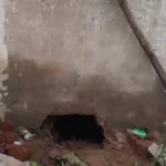 Bhiwani News: भिवानी में स्वास्थ्य विभाग द्वारा सील दुकान की दीवार तोड़कर दवाइयां गायब