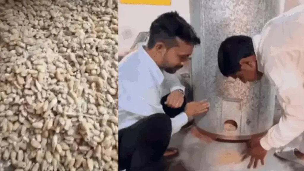 Bhiwani School News: सरकारी स्कूल के राशन में मिले कीड़े, DEEO ने टीचर को किया सस्पेंड
