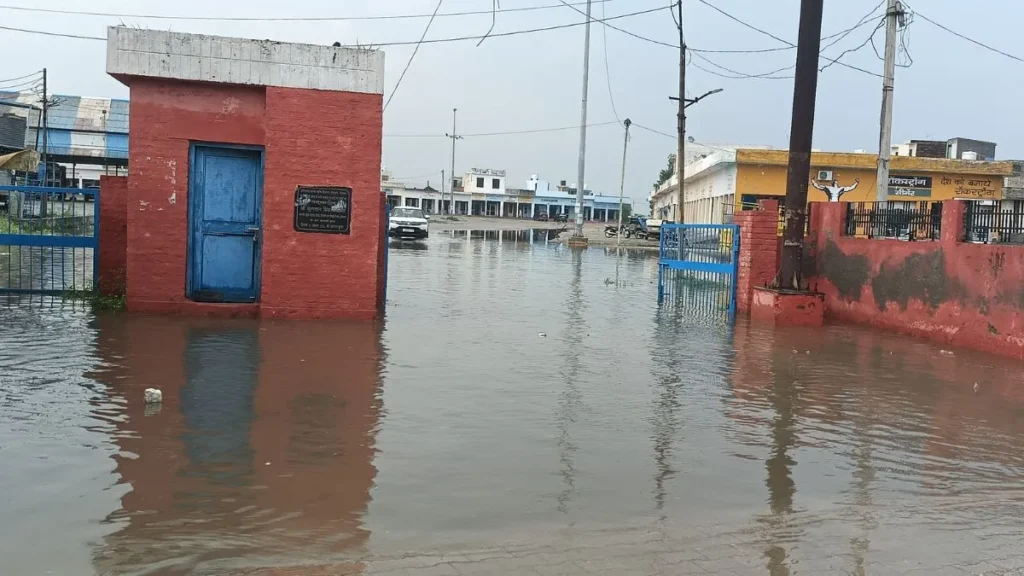 Dhand News: ढांड अनाज मंडी में खुली दावों की पोल, हल्की बारिश में ही जलमग्न हुई मंडी, गेट नंबर-5 बना तालाब
