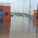 Dhand News: ढांड अनाज मंडी में खुली दावों की पोल, हल्की बारिश में ही जलमग्न हुई मंडी, गेट नंबर-5 बना तालाब