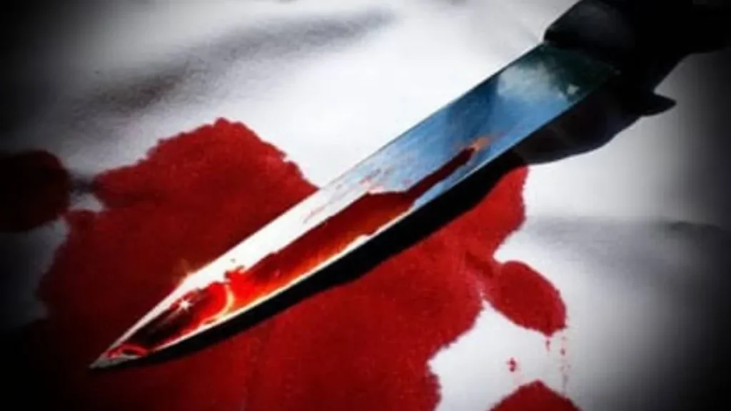 Faridabad News: फरीदाबाद में कलयुगी बेटे का कारनामा, काम करने की सलाह दी तो पिता की छाती में घोंपा चाकू