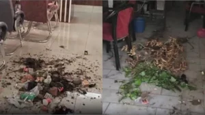 Fatehabad News: टोहाना नगर परिषद में फूटा सफाई कर्मचारियों का गुस्सा, नप अध्यक्ष और EO के दफ्तर में फेंका कचरा