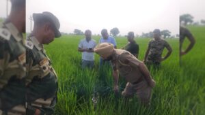 Fazilka News: फाजिल्का में पाकिस्तान से ड्रोन के जरिए हथियार भेजने की कोशिश नाकाम, धान के खेत से ड्रोन बरामद