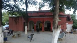Gurugram Crime: पति की हत्या कराने पहुंची पत्नी! सीसीटीवी में सीढ़ी लगाकर बदमाशों को घर में घुसाते दिखी महिला