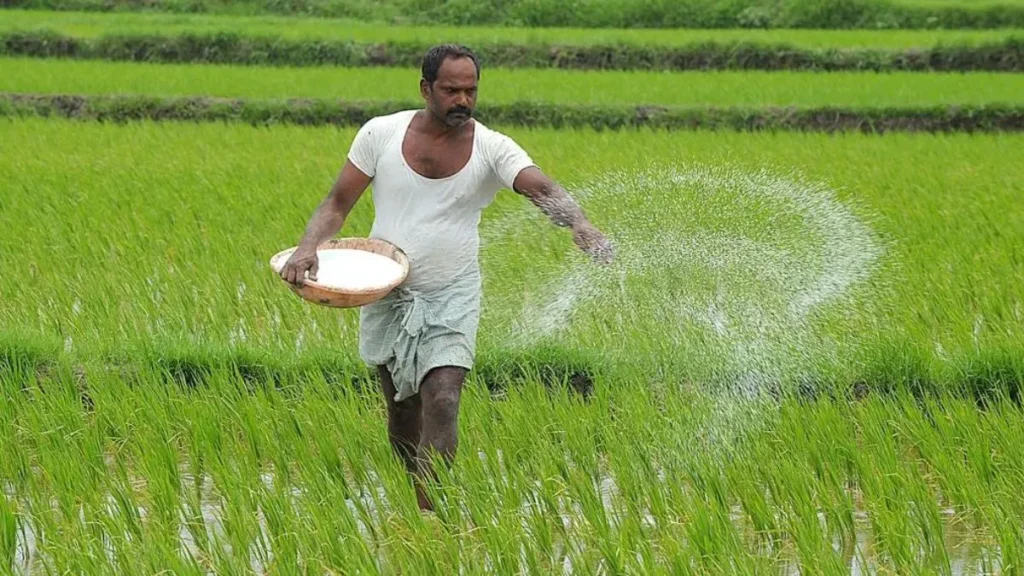 Haryana Fertilizer Booking: महेंद्रगढ़ और कैथल से शुरुआत, अब किसान एडवांस में बुक कर सकेंगे सब्सिडी वाली खाद