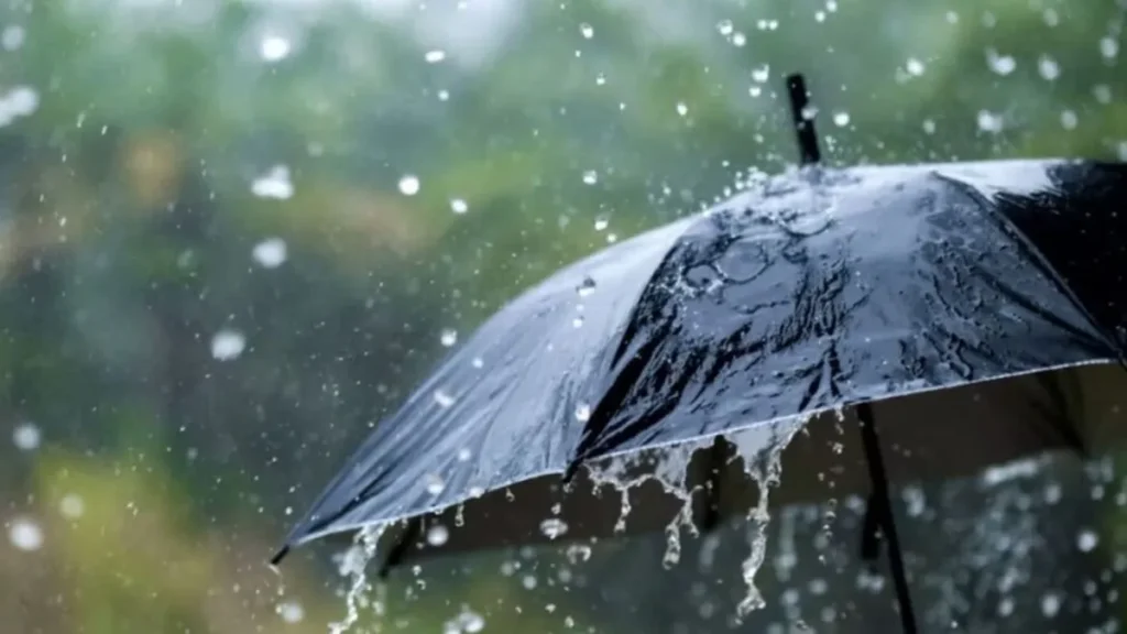 Haryana Weather Update: हरियाणा में मानसून धीमा, अंबाला-करनाल में 51% कम बरसे बादल, भिवानी में 117% ज्यादा बारिश, जानें वजह