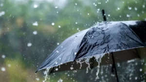 Haryana Weather Update: हरियाणा में मानसून धीमा, अंबाला-करनाल में 51% कम बरसे बादल, भिवानी में 117% ज्यादा बारिश, जानें वजह