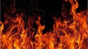 Jind News: जींद में हैवानियत, शराब के नशे में पति ने पत्नी पर पेट्रोल छिड़ककर लगाई आग, हालत गंभीर