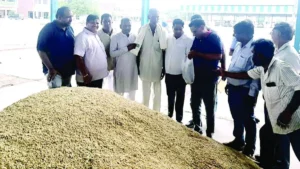 Kurukshetra News: कुरुक्षेत्र की पिपली मंडी में जीरी की पहली ढेरी का आगाज, ₹3925 के रेट से खिले किसानों के चेहरे