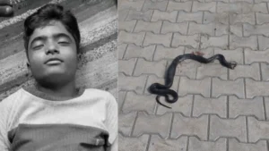 Kurukshetra News: कुरुक्षेत्र में सोते समय 12 साल के बच्चे को कोबरा ने डसा, सुबह बेड से निकला 3 फीट लंबा सांप