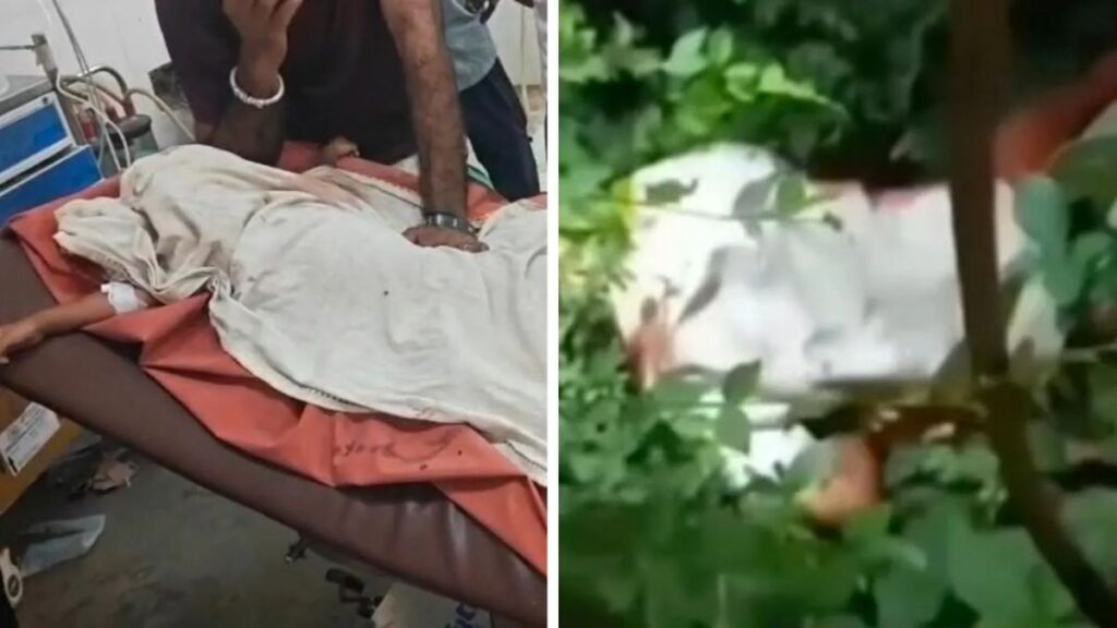 Leopard Attack: सवाई माधोपुर में 3 साल के बच्चे को घर से उठा ले गया तेंदुआ, जंगल में मार डाला, मौत के बाद ग्रामीणों ने बाइक फूंकी
