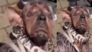 Man Dog Surgery: कुत्ता बनने के लिए खर्च कर दिए 220 करोड़? जापान के 26 वर्षीय करोड़पति के वायरल वीडियो का पूरा सच