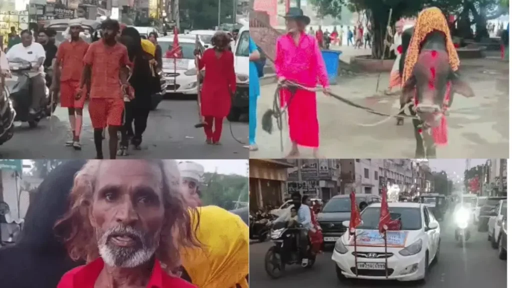 Nandi Kanwar Yatra: नंदी की पीठ पर गंगाजल लेकर निकले सिरसा के कांवड़िए, 400 किमी की अनोखी कांवड़ यात्रा बनी चर्चा का विषय