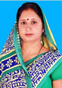 Narnaul 3