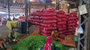 Onion Price: पंचकूला-चंडीगढ़ में प्याज ने फिर निकाले आंसू, 70-80 रुपये किलो तक पहुंचा भाव; सप्लाई हरियाणा में भी
