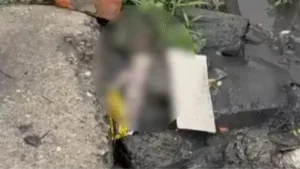 Panipat News: पानीपत में पॉलीथिन में लपेटकर नाले में फेंका भ्रूण, पुलिस खंगाल रही CCTV