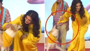 Bollywood News: मुंबई में ‘ओह माय डॉग’ की स्क्रीनिंग पर हंगामा, रवीना टंडन की ड्रेस पर कुत्ते ने मारा झपट्टा, वीडियो वायरल
