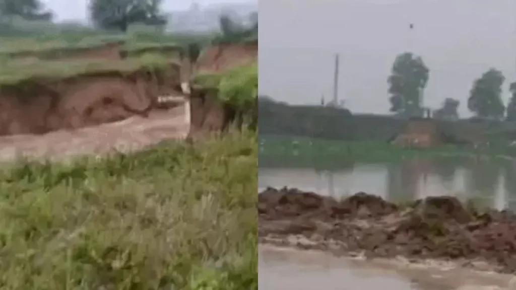 Rohtak News: रोहतक में ड्रेन नंबर-8 टूटने से हड़कंप, सिसरोली और टिटोली के खेतों में भरा पानी, फसलें तबाह