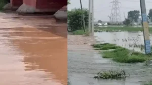 Shahabad News: हिमाचल की बारिश से उफान पर मारकंडा नदी, शाहाबाद के कठवा गांव में घुसा पानी; अलर्ट जारी