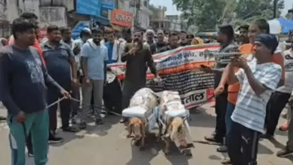 Sonipat News: सोनीपत में सफाई कर्मचारियों का अनोखा प्रदर्शन, भेड़ों पर मंत्रियों के पोस्टर लगा निकाली बारात