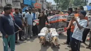 Sonipat News: सोनीपत में सफाई कर्मचारियों का अनोखा प्रदर्शन, भेड़ों पर मंत्रियों के पोस्टर लगा निकाली बारात