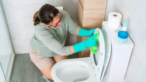 Cleaning Hacks: टॉयलेट के आसपास छिड़कें सफेद सिरका, महंगे केमिकल क्लीनर की छुट्टी; जानिए चौंकाने वाले फायदे