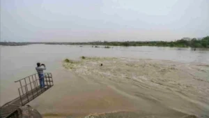 Yamuna Cleaning: दिल्ली में यमुना को बचाने के लिए मोहल्ला स्तर पर लगेंगे DSTP, विशेषज्ञों ने सरकार को दिए बड़े सुझाव