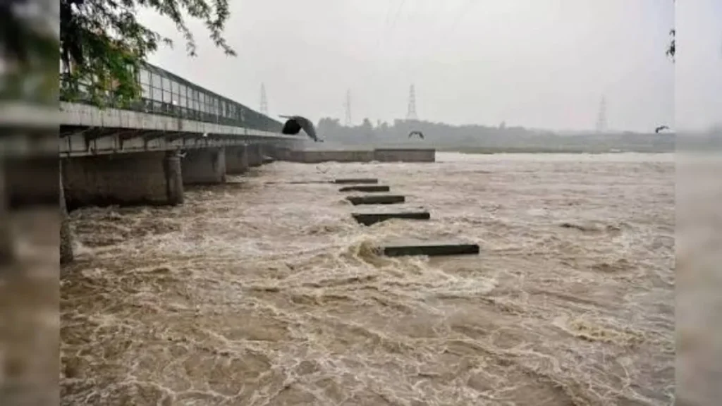 Yamuna River Haryana: यमुना एक्शन प्लान पर हरियाणा सरकार का सख्त निर्देश, 31 दिसंबर 2027 तक पूरे होंगे सभी STP और CETP प्रोजेक्ट्स