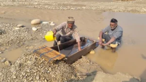 Yamunanagar Boli Gold: यमुनानगर की इस नदी में बहता है सोना, जानिए कैसे रेत छानकर पेट पालते हैं सैकड़ों परिवार