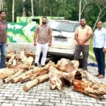 Yamunanagar News: कलेसर के जंगलों में वन विभाग की बड़ी कार्रवाई, 8 क्विंटल खैर की लकड़ी के साथ गाड़ी जब्त, तस्कर फरार