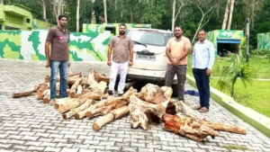 Yamunanagar News: कलेसर के जंगलों में वन विभाग की बड़ी कार्रवाई, 8 क्विंटल खैर की लकड़ी के साथ गाड़ी जब्त, तस्कर फरार