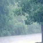 Haryana Weather: हरियाणा में फिर एक्टिव हुआ मानसून, गुरुग्राम-हिसार समेत 10 जिलों में भारी बारिश का अलर्ट