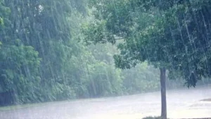 Haryana Weather: हरियाणा में फिर एक्टिव हुआ मानसून, गुरुग्राम-हिसार समेत 10 जिलों में भारी बारिश का अलर्ट
