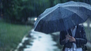Haryana Weather: हरियाणा के 10 जिलों में बारिश का यलो अलर्ट, पलवल में 78 मिमी बारिश से गिरा पारा