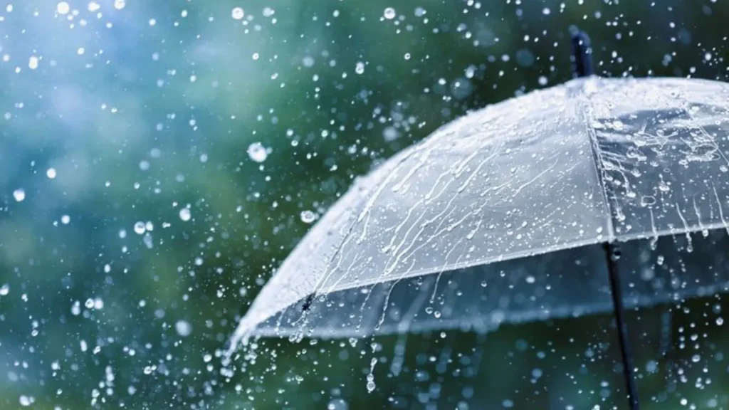 Haryana Weather: हरियाणा में बदला मौसम, पंचकूला और करनाल समेत 6 जिलों में भारी बारिश का यलो अलर्ट