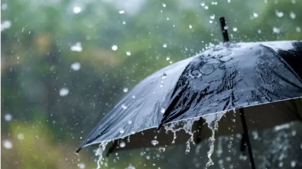 Haryana Weather: हरियाणा में फिर लौटेगा मानसून, आज रात से 15 अगस्त तक झमाझम बारिश के आसार
