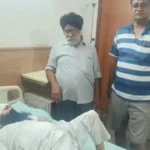 Ambala News: अंबाला कैंट में आवारा सांडों का तांडव, पल्लेदार मोहल्ले में मां-बेटे पर गिरे लड़ते हुए सांड