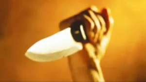 Ambala News: अंबाला में बेखौफ लुटेरे, गुरुग्राम पुलिस के जवान पर चाकुओं से हमला, पर्स-मोबाइल लूटकर फरार