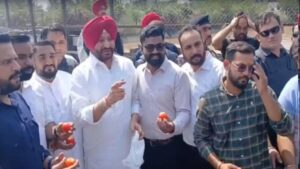 लुधियाना में CM मान के काफिले के सामने पहुंचे रवनीत बिट्टू: अंडे-टमाटर लेकर किया प्रदर्शन, पुलिस ने हिरासत में लिया