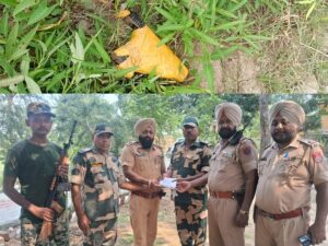 BSF Pistol Recovery Patti : गांव डल के खेतों से बरामद हुआ चाइनीज पिस्टल, मैग्जीन और जिंदा कारतूस