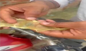 Bathinda Chitta Sting : अकाली दल ने चिट्‌टा सप्लाई का स्टिंग वीडियो जारी कर पंजाब सरकार को घेरा