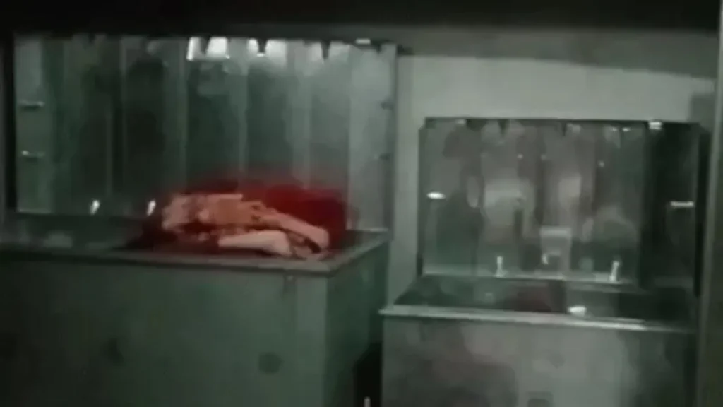 Bhiwani Crime News: भिवानी में किसान के घर बड़ी चोरी, बाहर सोता रहा परिवार, अंदर से रानी हार और नकदी पार
