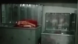 Bhiwani Crime News: भिवानी में किसान के घर बड़ी चोरी, बाहर सोता रहा परिवार, अंदर से रानी हार और नकदी पार