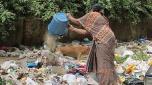 सड़कों पर कचरा फेंकना पड़ा भारी, निगम ने पांच चालान काटे: सेक्टर-8, 9, 17 और 26 सेक्टर में कार्रवाई