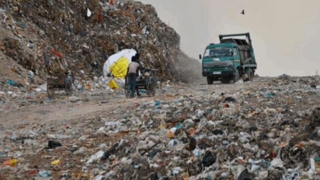 Chandigarh News: चंडीगढ़ में रोजाना 70 टन मिश्रित कचरा डंपिंग ग्राउंड पहुंच रहा, NGT सुनवाई से पहले निगम को निर्देश