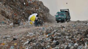 Chandigarh News: चंडीगढ़ में रोजाना 70 टन मिश्रित कचरा डंपिंग ग्राउंड पहुंच रहा, NGT सुनवाई से पहले निगम को निर्देश