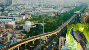 Delhi Mayur Vihar History: क्यों पड़ा दिल्ली के मयूर विहार का नाम? जानिए इसके पीछे का दिलचस्प सीक्रेट